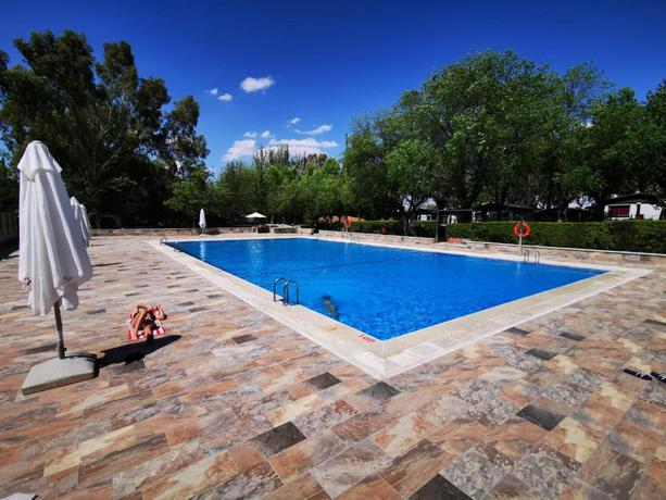 Imagen de la piscina del Camping Bungalows Alpha Madrid. Foto 12