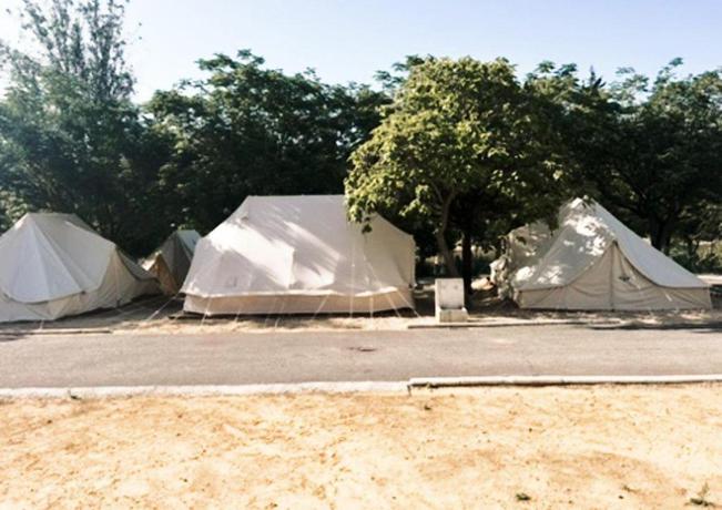 Imagen de la habitación del Camping Bungalows Rafting Benamejí. Foto 6