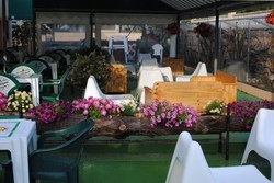 Imagen de los exteriores del Camping Bungalows Sol D´Or. Foto 6