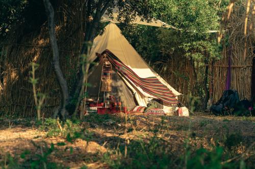 Imagen general del Camping Butterfly Valley Beach Glamping. Foto 5