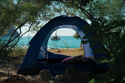 Imagen de la habitación del Camping Butterfly Valley Beach Glamping. Foto 17