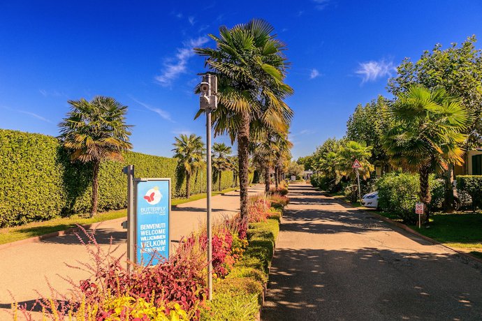 Imagen de los interiores del Camping Butterfly Village. Foto 20