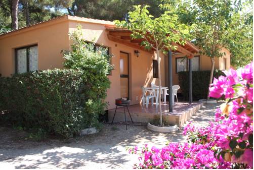 Imagen general del Camping Caledonia. Foto 2