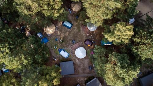 Imagen de la habitación del Camping Camp Bursztynowy Las. Foto 11