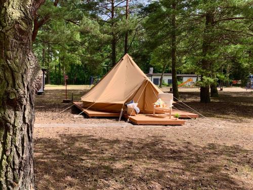 Imagen general del Camping Camp Bursztynowy Las. Foto 3