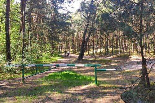 Imagen general del Camping Camp Bursztynowy Las. Foto 6