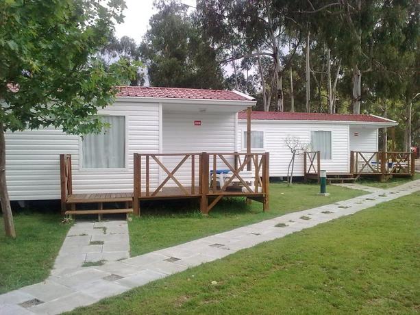 Imagen de los exteriores del Camping Camping Orbitur Evora. Foto 8