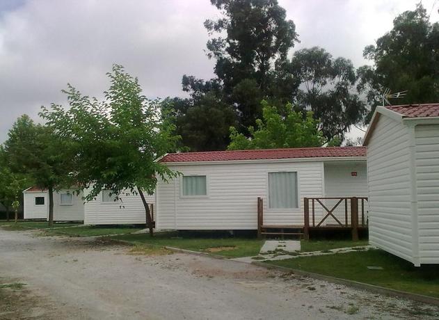 Imagen de los exteriores del Camping Camping Orbitur Evora. Foto 9