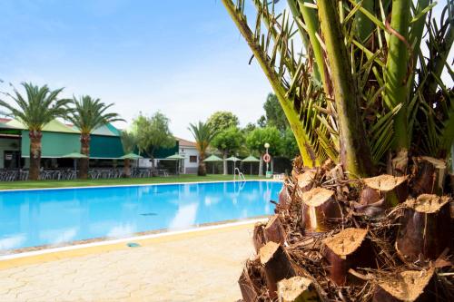 Imagen de la piscina del Camping Carlos III, La Carlota. Foto 9