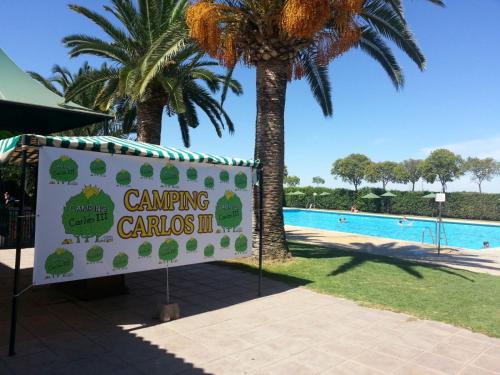 Imagen de la piscina del Camping Carlos III, La Carlota. Foto 10