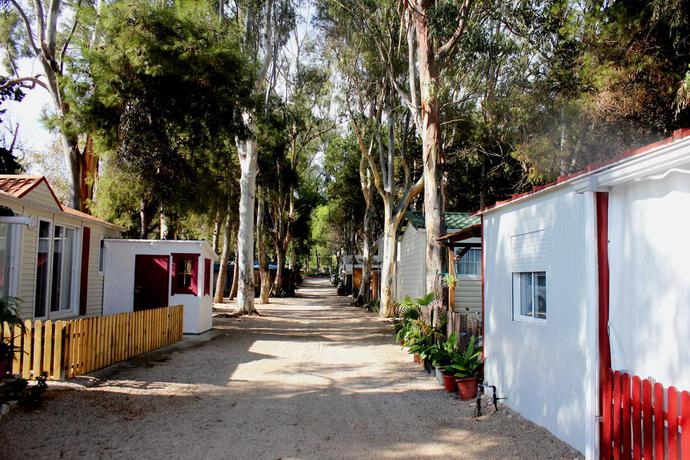 Imagen de los exteriores del Camping Cases. Foto 5