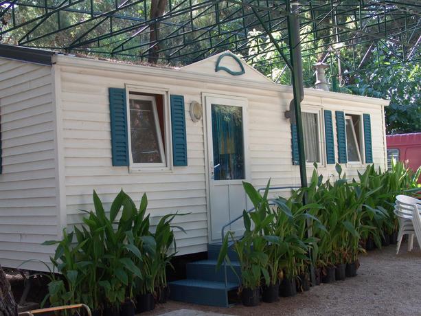 Imagen de los exteriores del Camping Cases. Foto 7