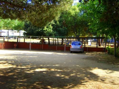 Imagen general del Camping Castell D'aro. Foto 3