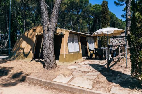 Imagen general del Camping Castell Montgr&iacute;. Foto 2