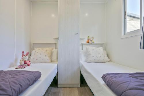 Imagen general del Camping Castell Montgr&iacute;. Foto 6