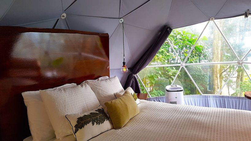 Imagen de la habitación del Camping Chira Glamping Monteverde. Foto 17