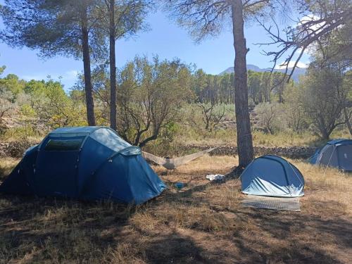 Imagen de la habitación del Camping Club hipica la ferme de montroy. Foto 17