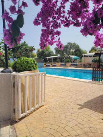 Imagen de la piscina del Camping Costa Blanca, Campello. Foto 14