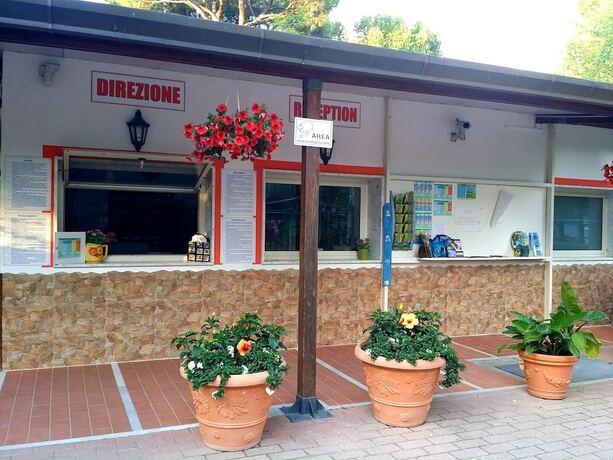 Imagen general del Camping Dal Pino. Foto 3