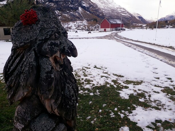 Imagen general del Camping Dalen Gaard and Hytter. Foto 3