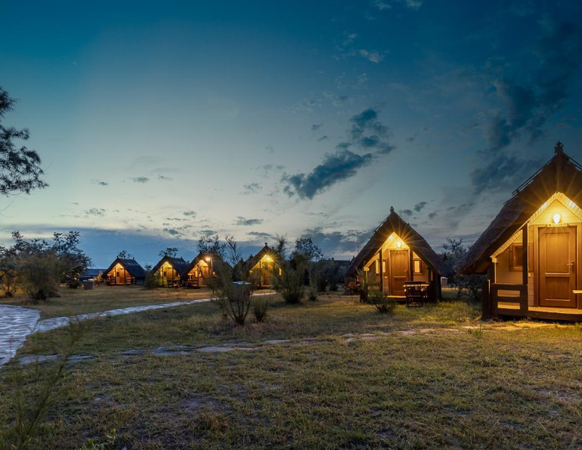 Imagen general del Camping Dolphin, Sf&acirc;ntu Gheorghe. Foto 1