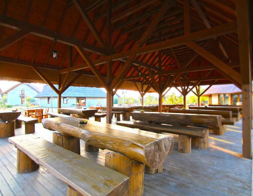 Imagen general del Camping Dolphin, Sf&acirc;ntu Gheorghe. Foto 16