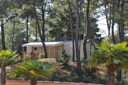 Imagen de la habitación del Camping Domaine Des Pins. Foto 15