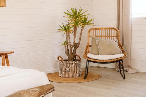 Imagen de la habitación del Camping Dreamsea Bungalows Alentejo. Foto 7