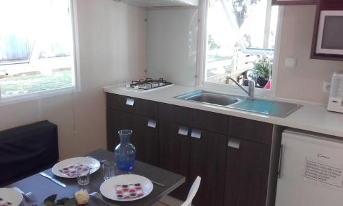 Imagen general del Camping Du Petit Pont. Foto 6