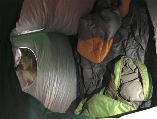 Imagen general del Camping Dunhuang Desert International Site. Foto 3