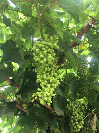 Imagen general del Camping Dunhuang Impression Outdoor Base. Foto 4