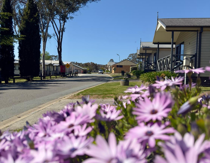Imagen general del Camping Eaglehawk Park Canberra. Foto 10
