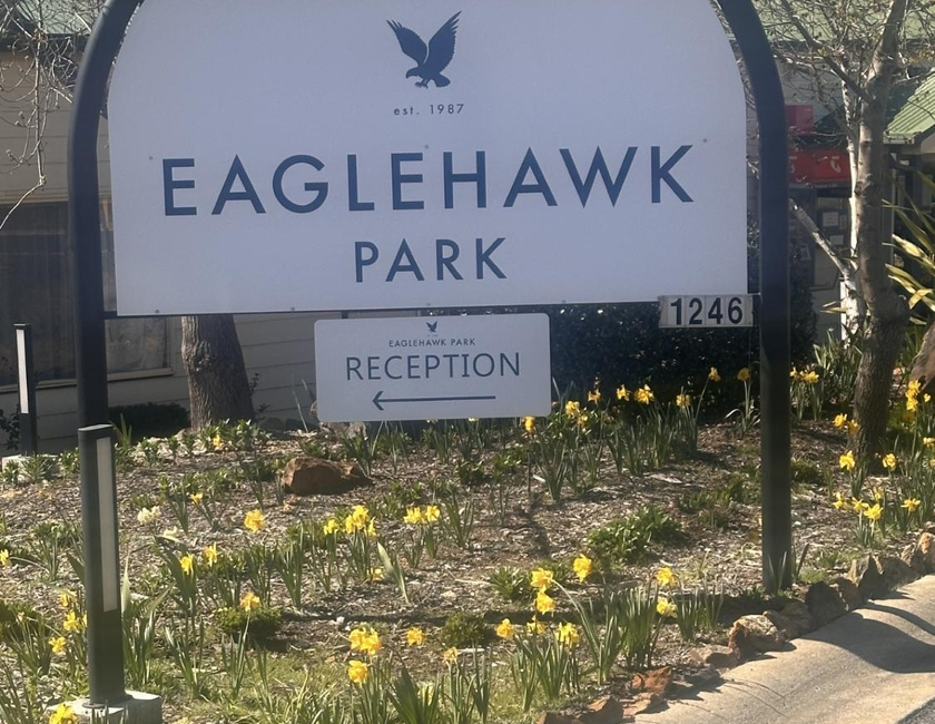 Imagen general del Camping Eaglehawk Park Canberra. Foto 11