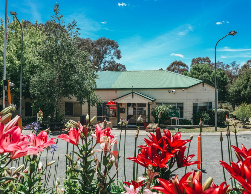 Imagen general del Camping Eaglehawk Park Canberra. Foto 15