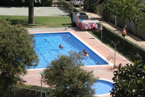 Imagen de la piscina del Camping El Carlitos. Foto 17