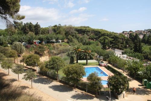 Imagen de la piscina del Camping El Carlitos. Foto 18