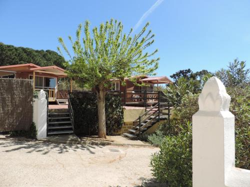 Imagen de los exteriores del Camping El Carlitos. Foto 14