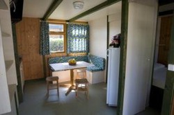 Imagen general del Camping El Delfin Verde, Torroella de Montgrí. Foto 9