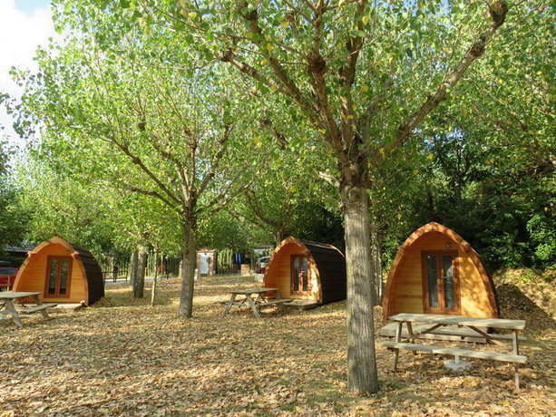 Imagen de los interiores del Camping El Solsonés. Foto 5