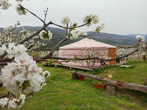 Imagen de los exteriores del Camping El jard&iacute;n de las Delizias - Adults Only. Foto 10