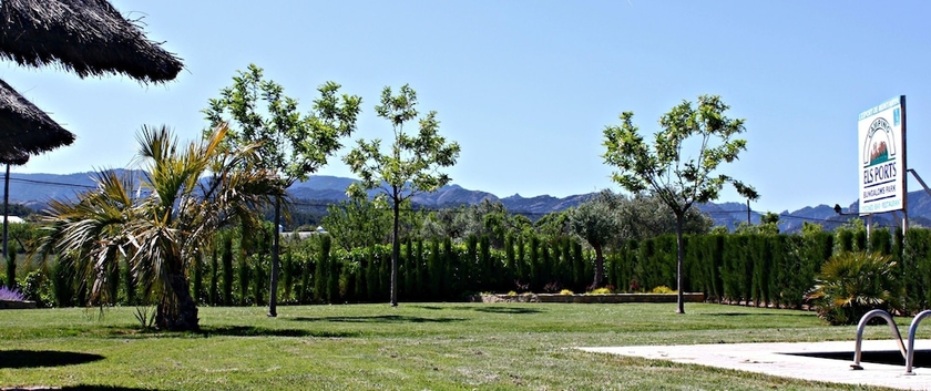 Imagen de la piscina del Camping Els Ports. Foto 19