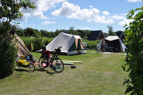 Imagen general del Camping Esbjerg. Foto 2