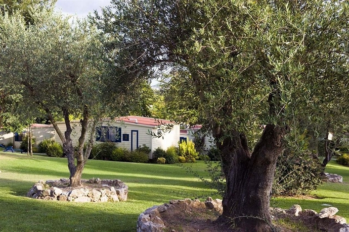 Imagen general del Camping Flaminio Village Bungalow Park - Campground. Foto 8