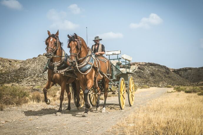 Imagen general del Camping Fort Bravo. Foto 9