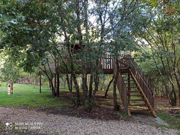 Imagen de los exteriores del Camping Glamping Cabanas das Chousas. Foto 23
