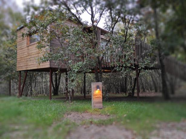 Imagen de la habitación del Camping Glamping Cabanas das Chousas. Foto 14
