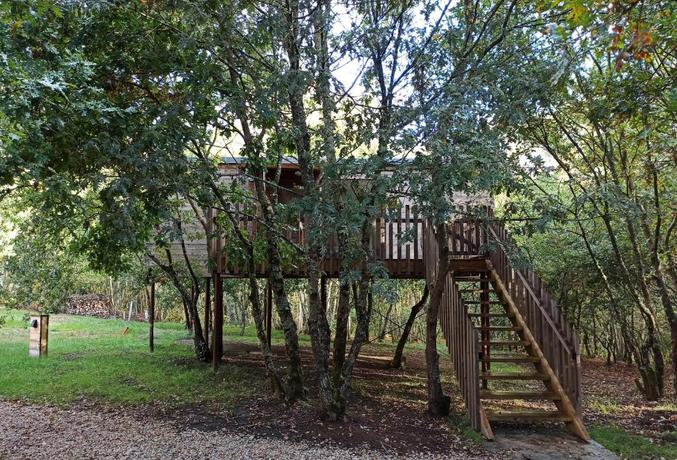 Imagen de la habitación del Camping Glamping Cabanas das Chousas. Foto 15
