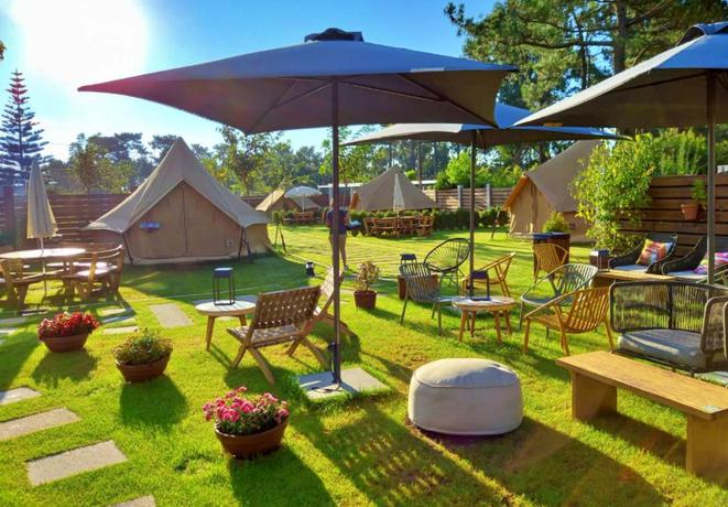 Imagen general del Camping Glamping Illa de Arousa. Foto 6
