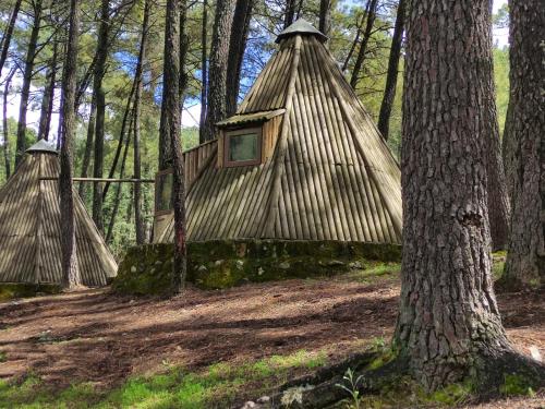 Imagen de los exteriores del Camping Glamping The Teepee. Foto 14