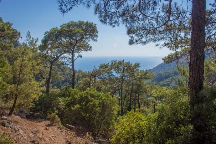 Imagen de los exteriores del Camping Gunes Holiday. Foto 15